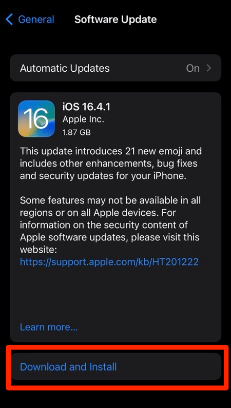 Download and Install the Software Update in iOS device