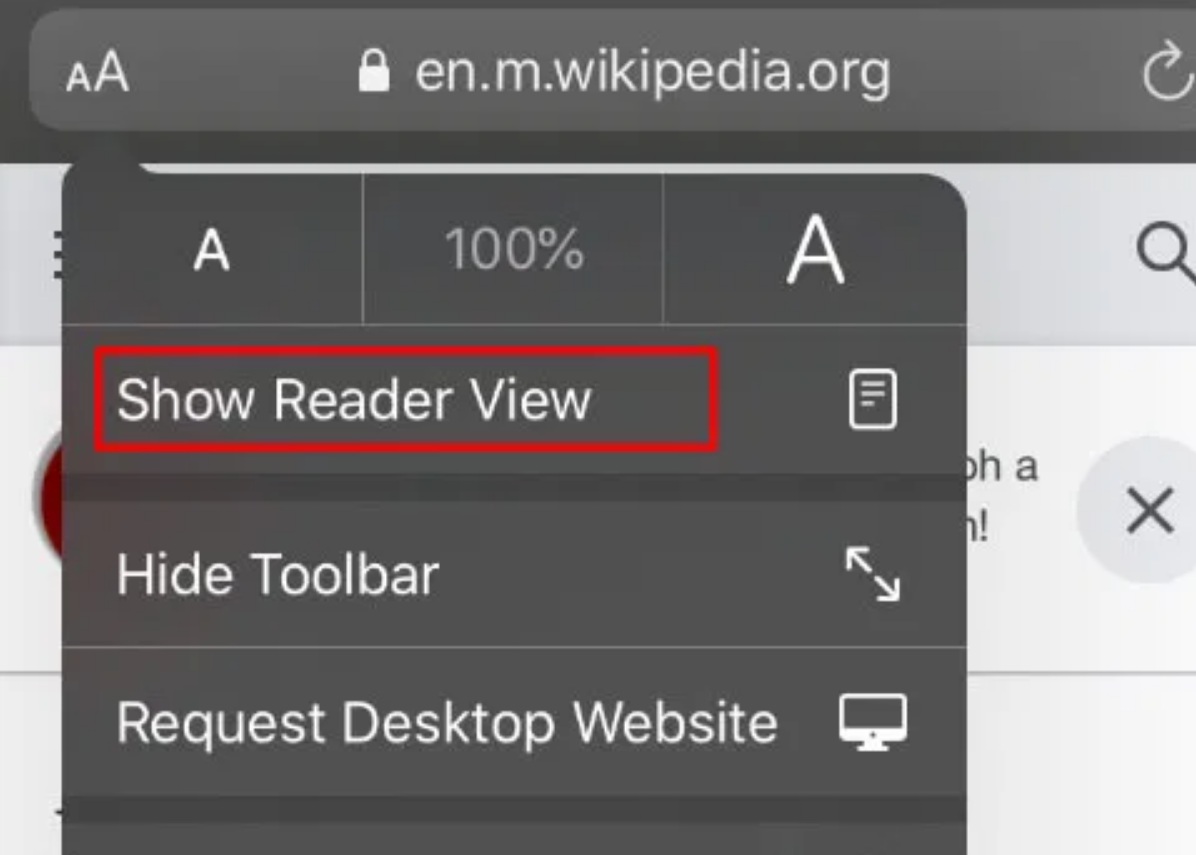 Show Reader View on Safari iPhone